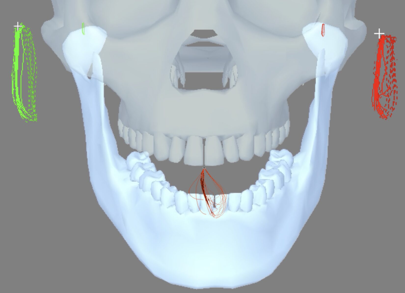 Das Kauorgan in Funktion und Dysfunktion