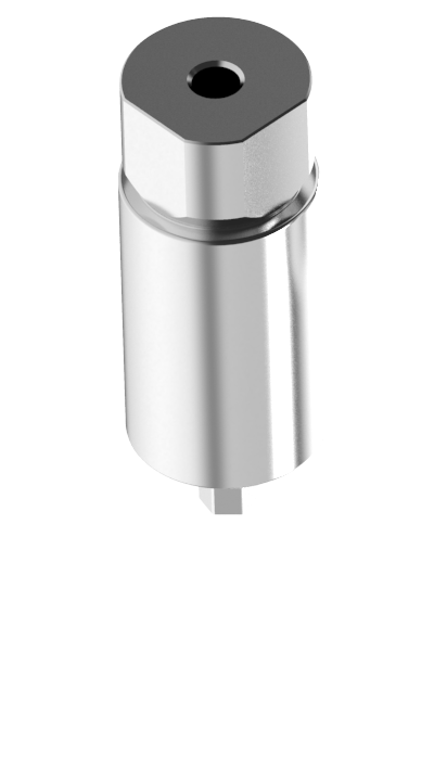 Titan Abutment Blank Preat