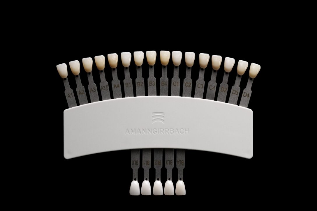 Zolid Shade Guide Bion Black